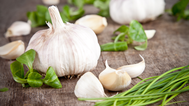 česnek kuchyňský