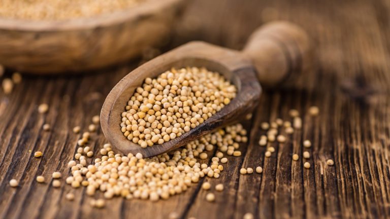 hořčičná semínka