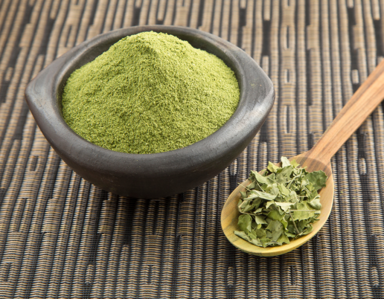 moringa mletá