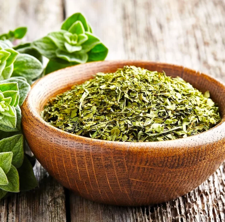 oregano
