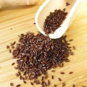 skorocel indický Psyllium